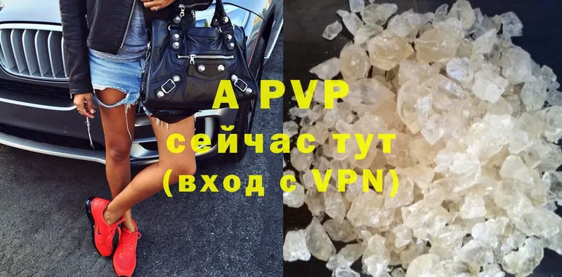 A-PVP СК  Вологда 