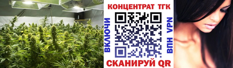 наркота  Вологда  Дистиллят ТГК THC oil 