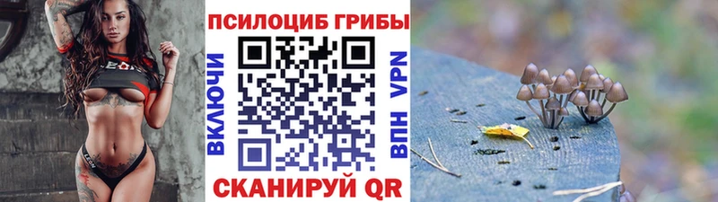 Галлюциногенные грибы MAGIC MUSHROOMS Вологда