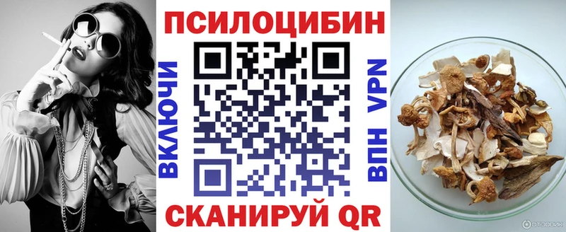 Псилоцибиновые грибы GOLDEN TEACHER  Вологда 