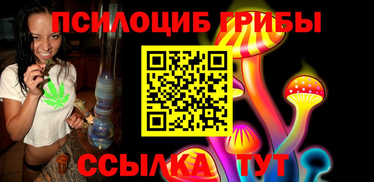 Галлюциногенные грибы Psilocybine cubensis Вологда
