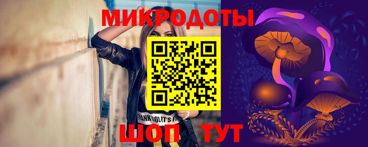 Вологда  Псилоцибиновые грибы MAGIC MUSHROOMS  Вход с VPN 